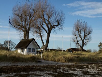 House tree nature photo