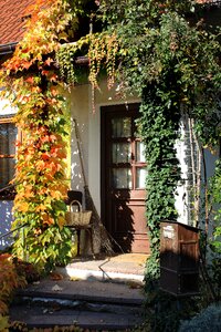 Input autumn broom