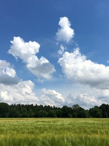 Field green blue