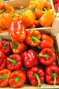 Food vegetable market