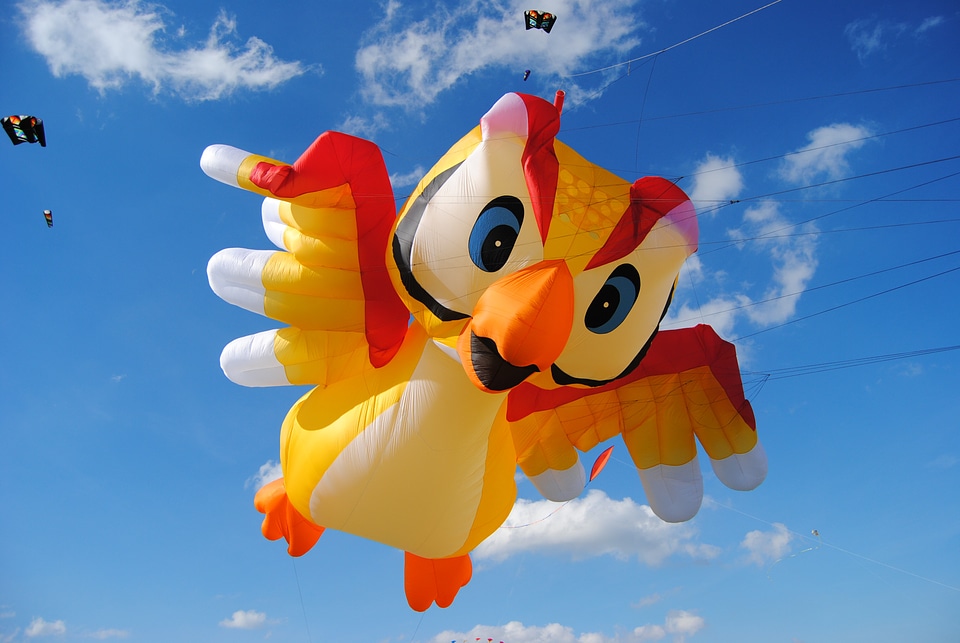 Kronsberg dragon fly air sports