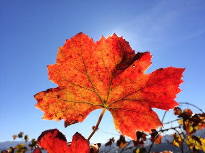 Thursday santa cristina nature sol
