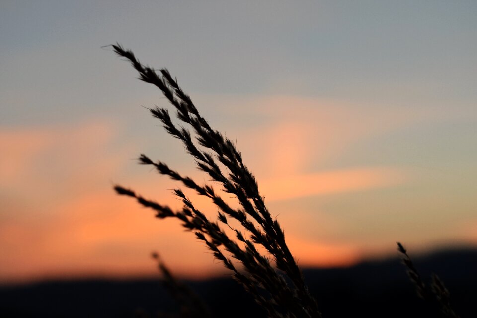 Backlighting landscape morgenstimmung