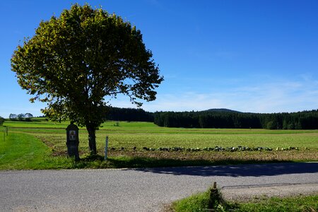 Wayside cross nature sky