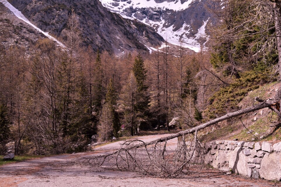 Alps nature landscapes