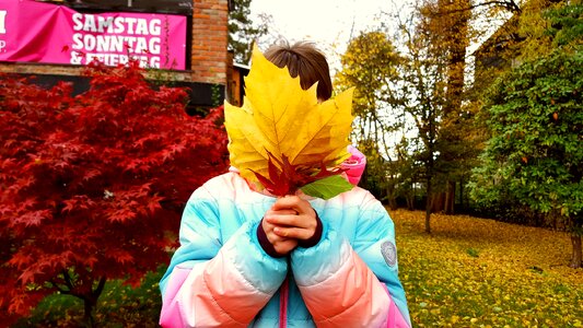 Leaves nature hide