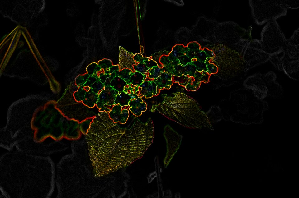 Bloom color neon orange
