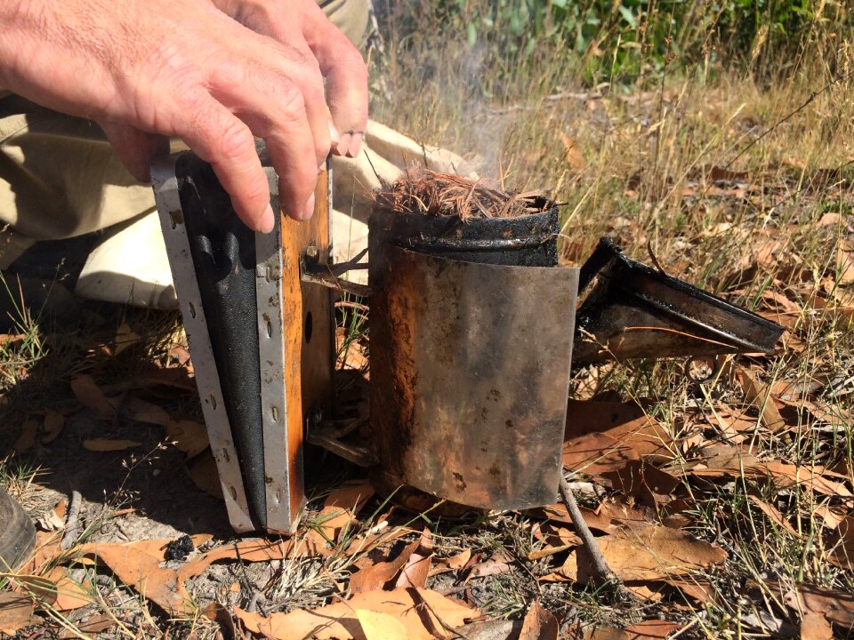 Beekeeping apiary apiarist