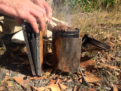 Beekeeping apiary apiarist photo