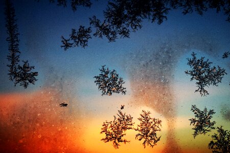 Cold frozen ice
