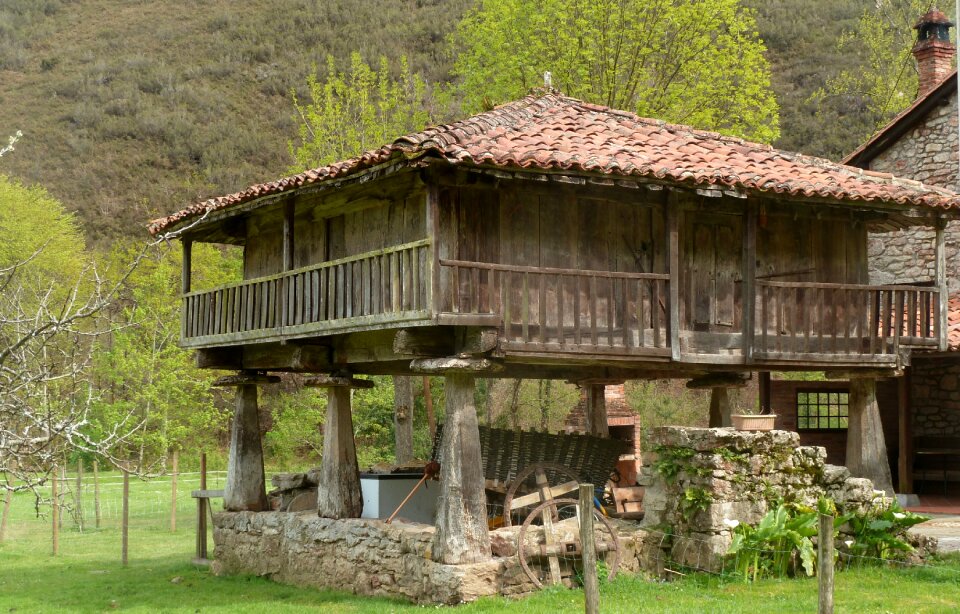 Field asturias spain