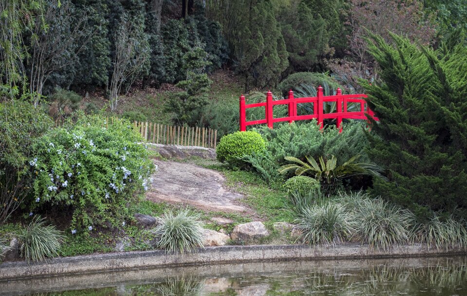 Lake red bridge japanese tree