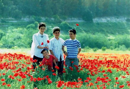 Children fun poppy field photo