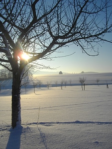 Cold sun snow landscape
