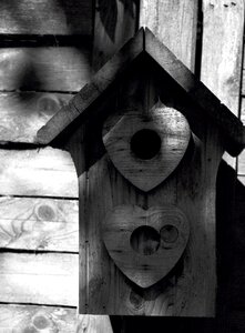 Nest cabin wood photo