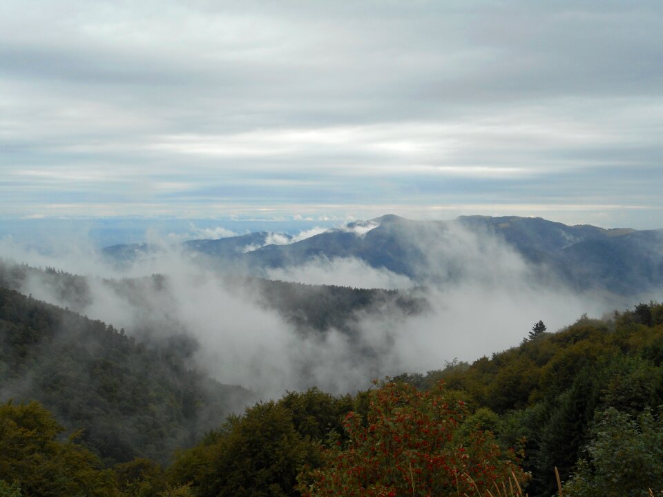 Fog landscape mountains
