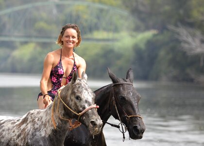 River summer gray horse