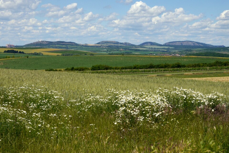 Fields country the sky