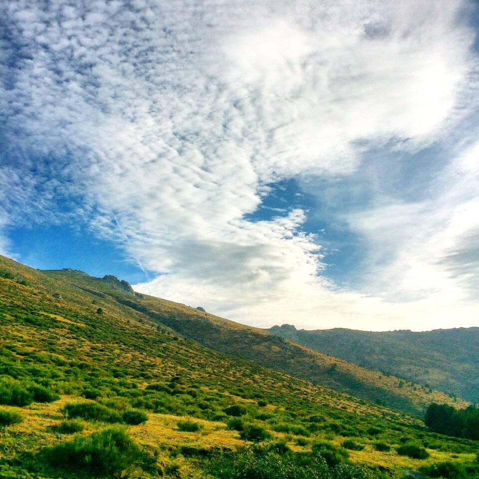 Trees landscape clouds