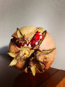 Autumn red mature
