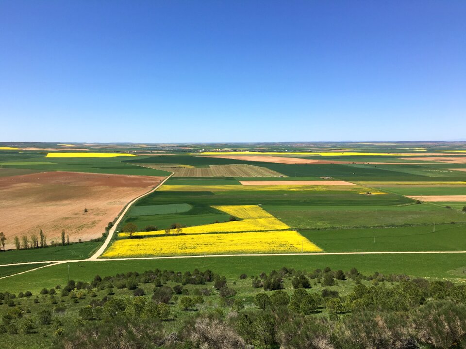 Natural summer castilla