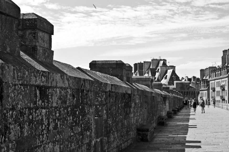 Pierre brittany black and white