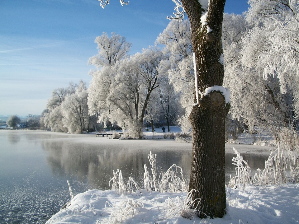 Lake frozen ice cover