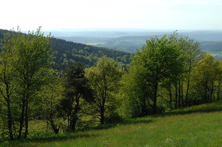 Dalherda nature far