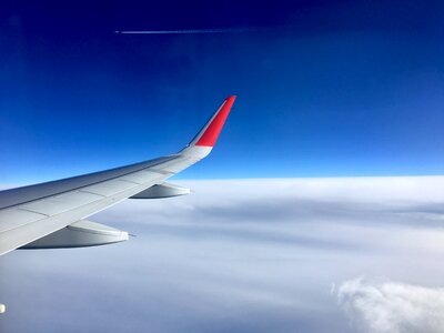 Wing fly blue