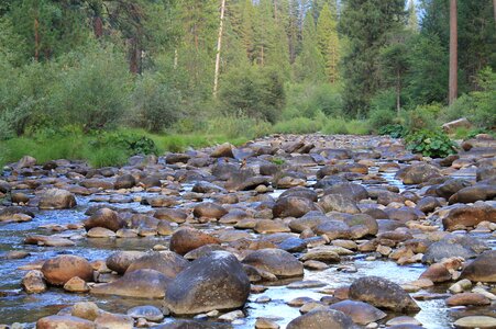 Creek nature