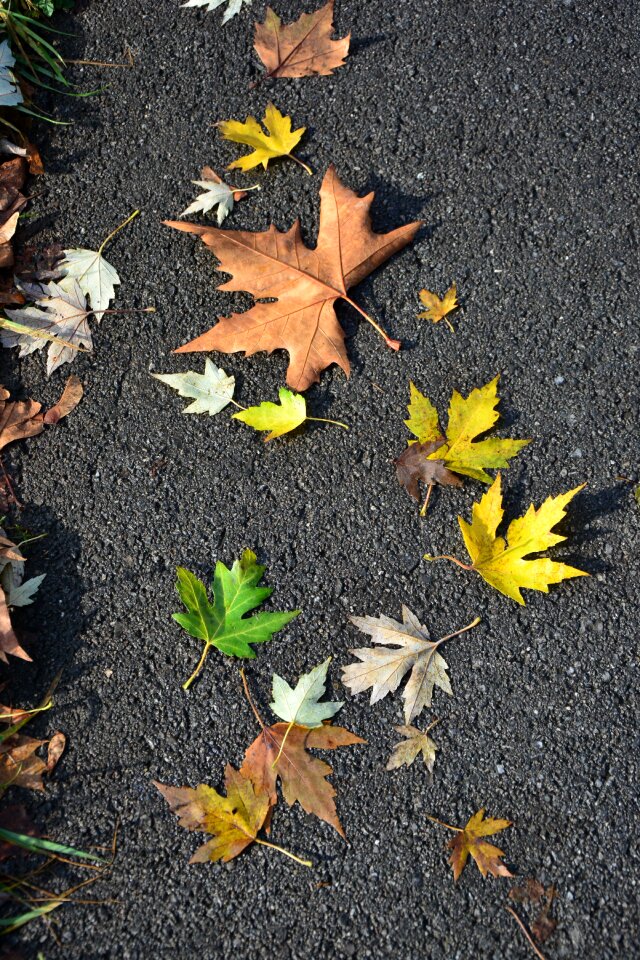 October seasonal