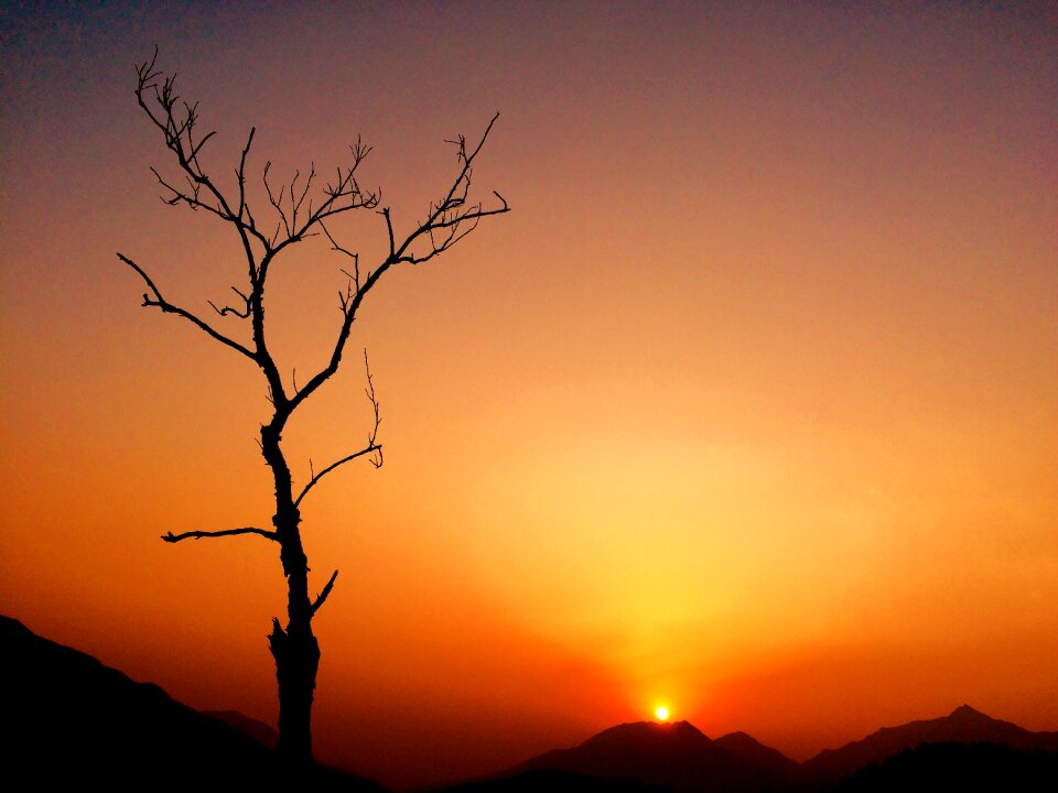 Sunrise deadwood mountain