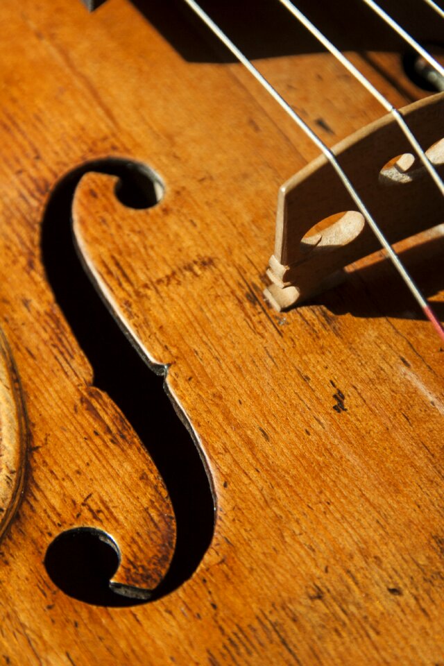 Strings classical instrument