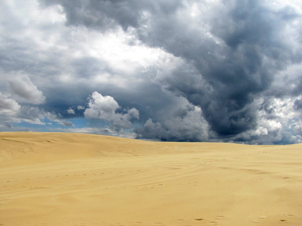 Sand dune landscape
