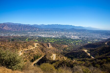 Holly hollywood
