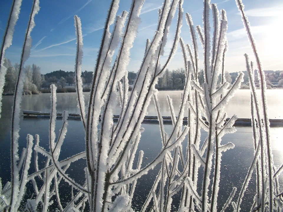 Lake frozen ice cover photo