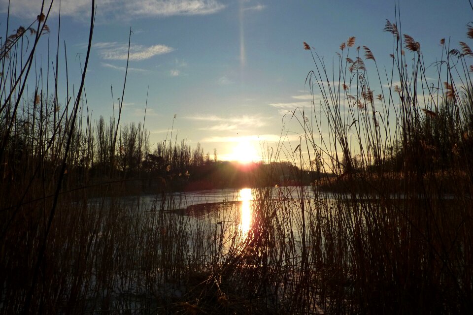 Nature tranquility landscape