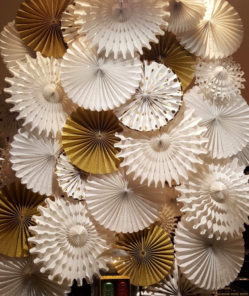 Rosettes paper white