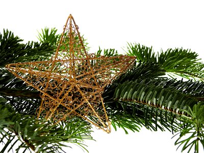 Advent christmas decoration christmas tree photo