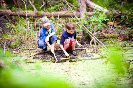 Children swamp curiosity
