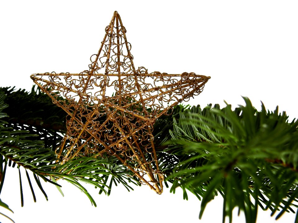 Advent christmas decoration christmas tree photo