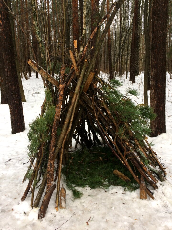 Forest snow building