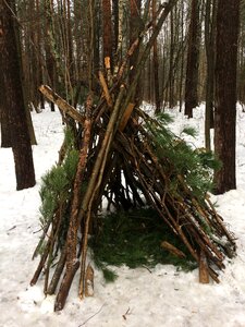 Forest snow building
