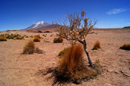 Backpacker salar trip