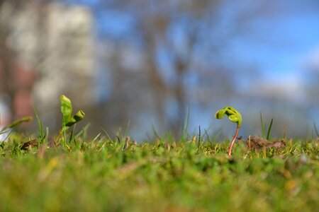 Sunny green blue