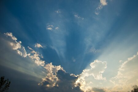 Rays heaven cumulus