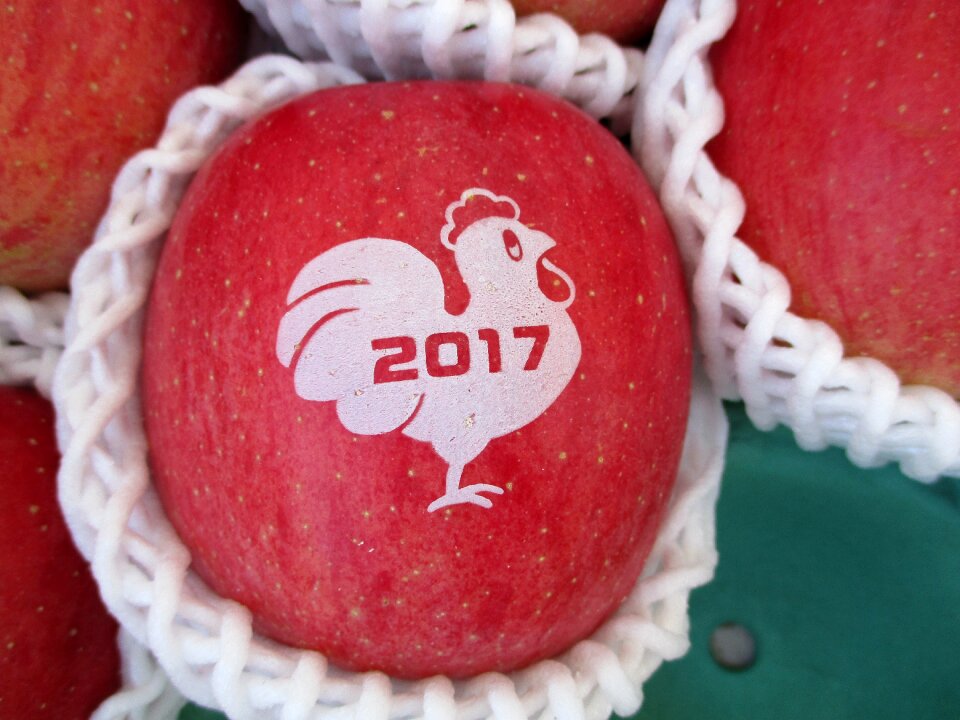Apple rooster 2017