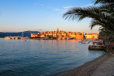 Korcula sunset palms