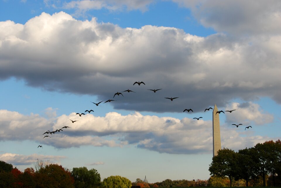 Sky cloud obelisk