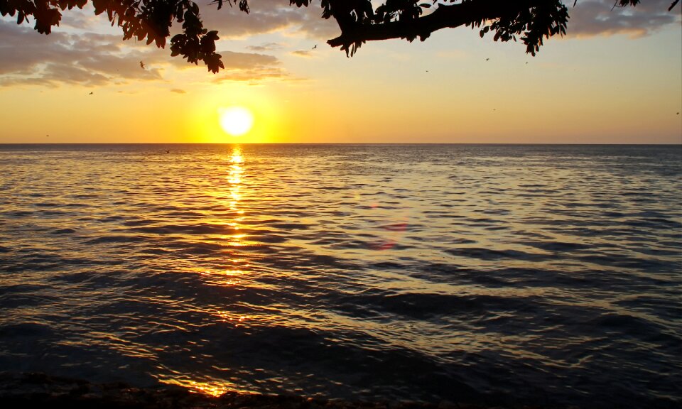 Tropical sea shore